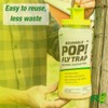 RESCUE! POP! Fly Trap – Large Reusable Fly Trap for