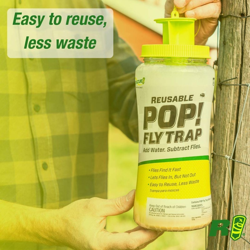 RESCUE! POP! Fly Trap – Large Reusable Fly Trap for
