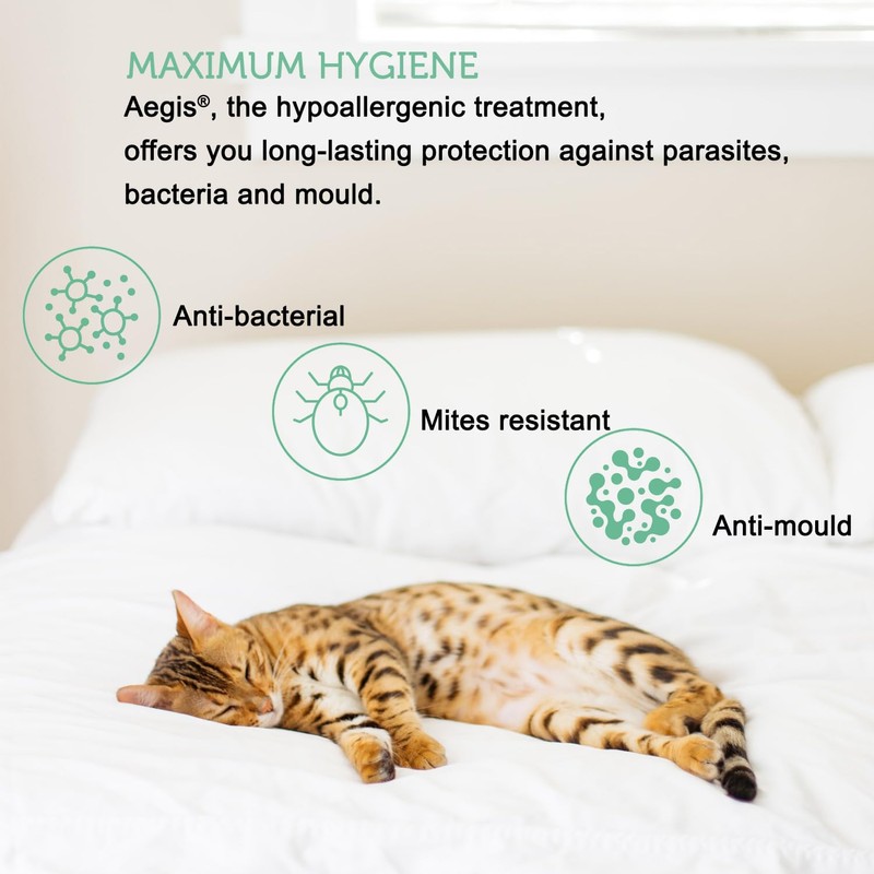 Zipped Pillow Covers Protectors 2 Pack 40x60 cm - and
