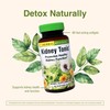 Herbs, Etc. Kidney Tonic Softgels - Function Supplement - Natural