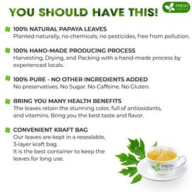 FreshDrinkUS, Premium 4oz Papaya Dried Leaves, 100% Natural & Pure from Papaya Leaves, Papaya Loose Leaf Herbal Tea, No Additives, No Caffeine, Vegan