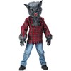 Werewolf Costume - Medium