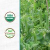 Cover Crop Pea + Oat - 1000 sq ft Coverage