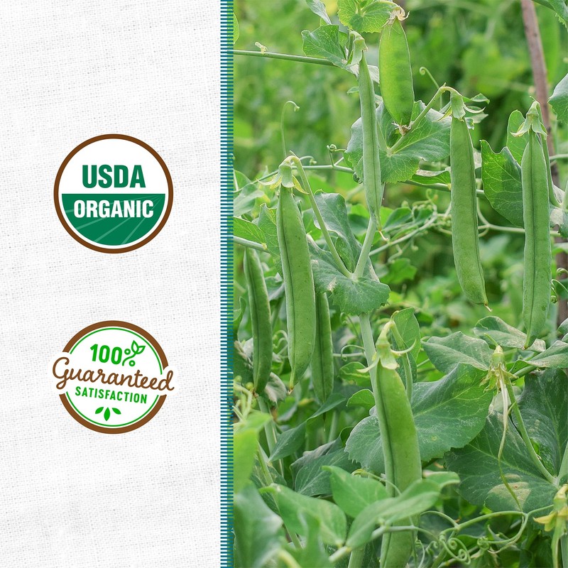 Cover Crop Pea + Oat - 1000 sq ft Coverage