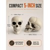 4 Pcs 5in Plastic Skulls Halloween Skeleton Cobweb 20 Spiders