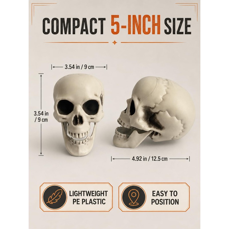 4 Pcs 5in Plastic Skulls Halloween Skeleton Cobweb 20 Spiders