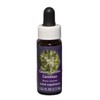 FES Flower Essences Range Of Light Quintessentials 7.5ml G to