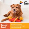 The Dodo 2-in-1 Nylon + Bamboo Dental Chew & Tug,