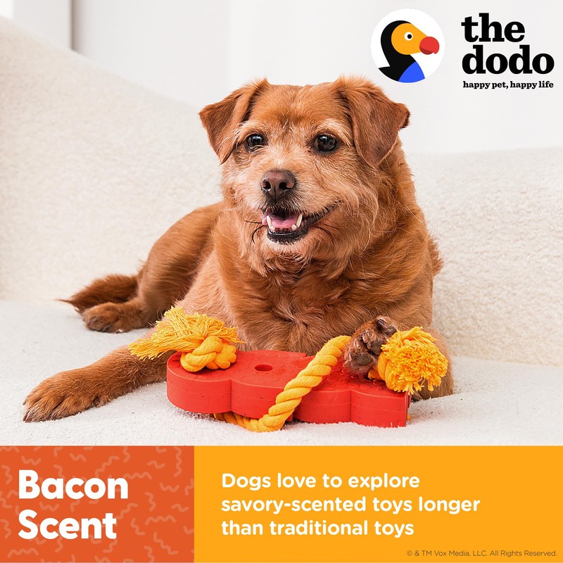 The Dodo 2-in-1 Nylon + Bamboo Dental Chew & Tug,