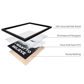 HAUS AND HUES The X Files I Want To Believe Poster - I Want To Believe Poster, X Files UFO Posters for Room Aesthetic, Trippy Posters for Room, X Files Poster, I Want to Believe (Black Frame, 12x16)