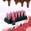 PINNER Matte Mini Long Lasting Pocket Lipstick Set