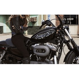 Dragons Crotch Rocket Full Color Decal, Bike Side Graphics, Dragon Motorcycle Vinyl, Dragons Bike Side Graphics (12x28)