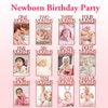 Pink 1st Birthday Photo Banner for Baby Girls - 1-12