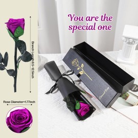 Eternal Infinity Rose Red with Stem, Gifts for Women, Eternal Rose in Gift Box, Preserved Flower for Mum, Girlfriend, Birthday Gift, Anniversary Gift, Woman (Purple)