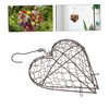 DOITOOL Stylish Heart Shaped Hanging Basket Planter Iron Wire for