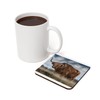 Cork Coaster - Bull Highland Gorgeous Animal Wildlife Photo Meadow