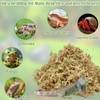 Halatool 6OZ Natural Sphagnum Moss for Reptiles Premium Reptile Moss