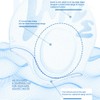 Silicone Swimming Hat with 3D Ear Protection Hat for Men