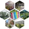 MEISO Pack of 240 6 Colours Plastic Plant Stake Loop
