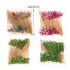 CLSSLVVBN 100pack/lot Durable Toothpicks for Appetizers and Fruit Skewers Wide