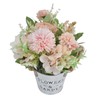 Simulation Potted Plants Bonsai Ornaments Artificial Flower Potted Plant for