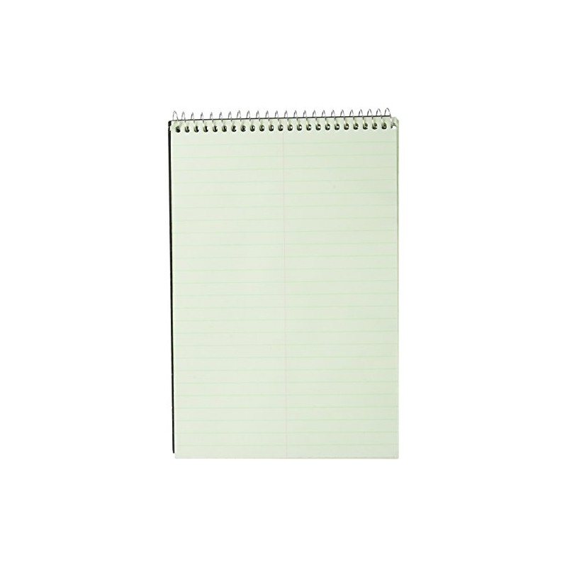 Mead 80CT Steno Notebook (43080), Green