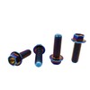 RISON-Titanium Hex Screws with Flange M8 x 1.25 x 25