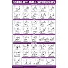 Palace Learning 2 Pack, Half Balance Ball Workout Poster +