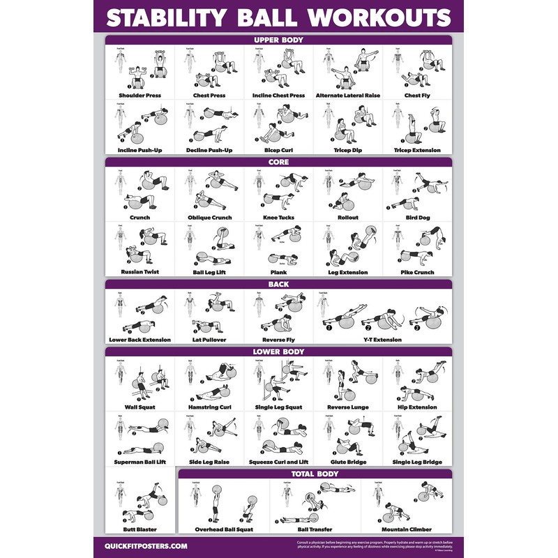 Palace Learning 2 Pack, Half Balance Ball Workout Poster +