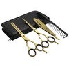 Barber Hair Scissors Cutting & Thinning Scissors Kit Straight Edge