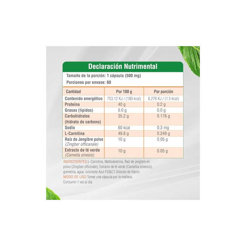 Nutrasien100 L-Carnitina 500 mg | Con Té Verde y Jengibre