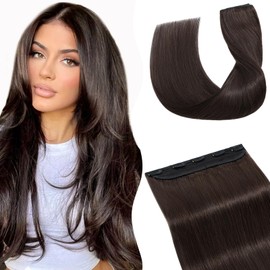 Tess Clip In Hair Extension,Hair Extensions Real Human Hair One Peices 5 Clips Straight Natural Hair Pieces for Womens/Girls(#Dark Brown,10Inch)