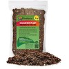 Gardenera Kalanchoe Plant Premium Potting Mix - Optimize Growth with