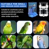 Yaomiao 6 Pcs No Mess Bird Feeders Automatic Clear Parrot