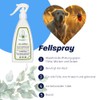 Shampoo for dogs and cats with colloidal silver and essential