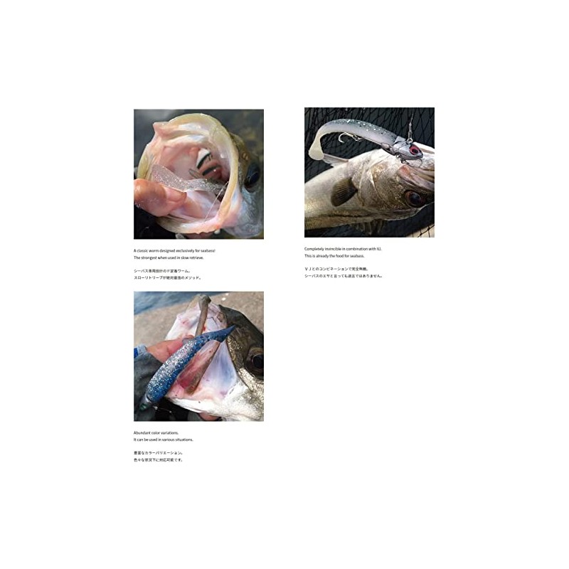 Coreman Alkaline Shad 3.5 inches (90 mm) #063 Chert Bait