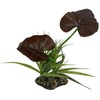 Multi Pet 48593204: Komodo Rainforest Canopy Plant, 10In