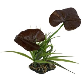 Multi Pet 48593204: Komodo Rainforest Canopy Plant, 10In