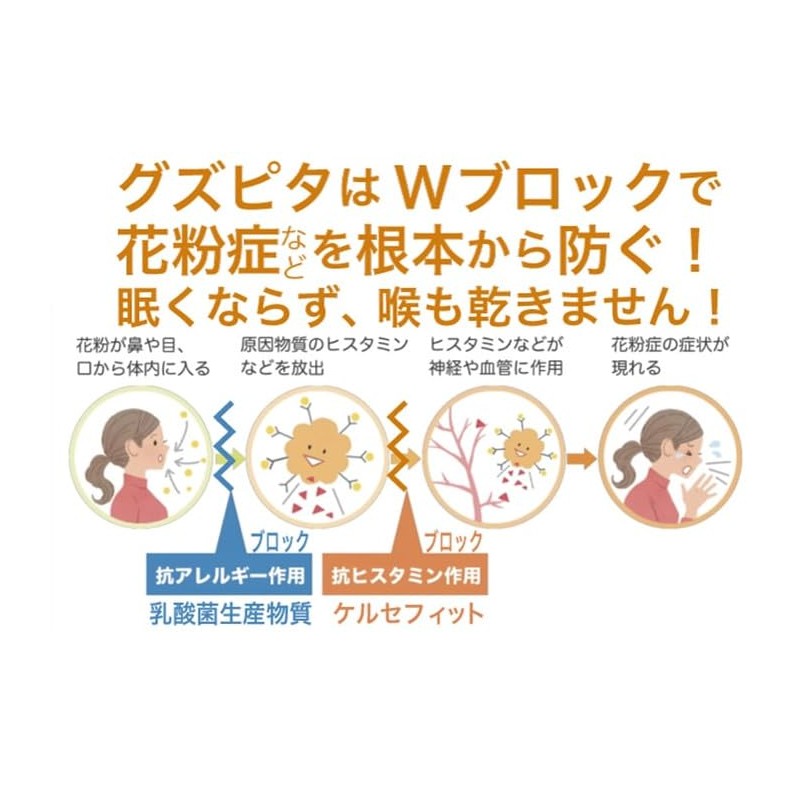 グズピタ サプリメント ケルセチン 20倍吸収 ケルセフィット 乳酸菌生産物質 酪酸 酢酸 鼻 づまり