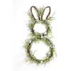 DN DECONATION Easter Bunny Spring Wreath with Egg, Twig and Berries Green Rabbit Easter Wreath for Front Door Decorations Home Farmhouse Outdoor Indoor Wall Mantel Window