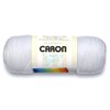 Caron Simply Soft Yarn Assortment (Holiday)