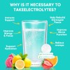 Venture Pal Sugar Free Electrolytes Powder Packets - Liquid Daily