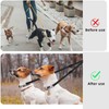 2pcs Adjustable Double Pet Trainer Leash, No Tangle Dog Dual