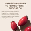 Trilogy Certified Organic Rosehip Oil Duo, Intensive Nourishment, Improves Appearance