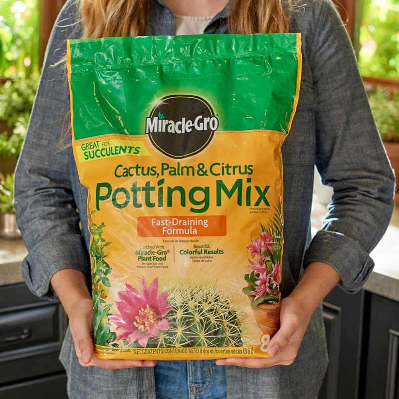 Miracle-Gro Cactus, Palm and Citrus Potting Mix, For Indoor or