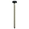 TIMCO PN40BL Polymer Headed Nail 40mm - Black (Box of