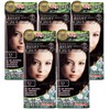 Avant-garde ENPRANI Nature Bee Aloe Purifying Oil Cleansing Tissue, 60 sheets, 6 pieces / 엔프라니 네추어비 알로에 퓨리파잉 오일 클렌징티슈 60매입 6개