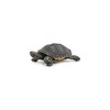 PAPO - Realistic Florida Turtle Figure - Ages 3+ -