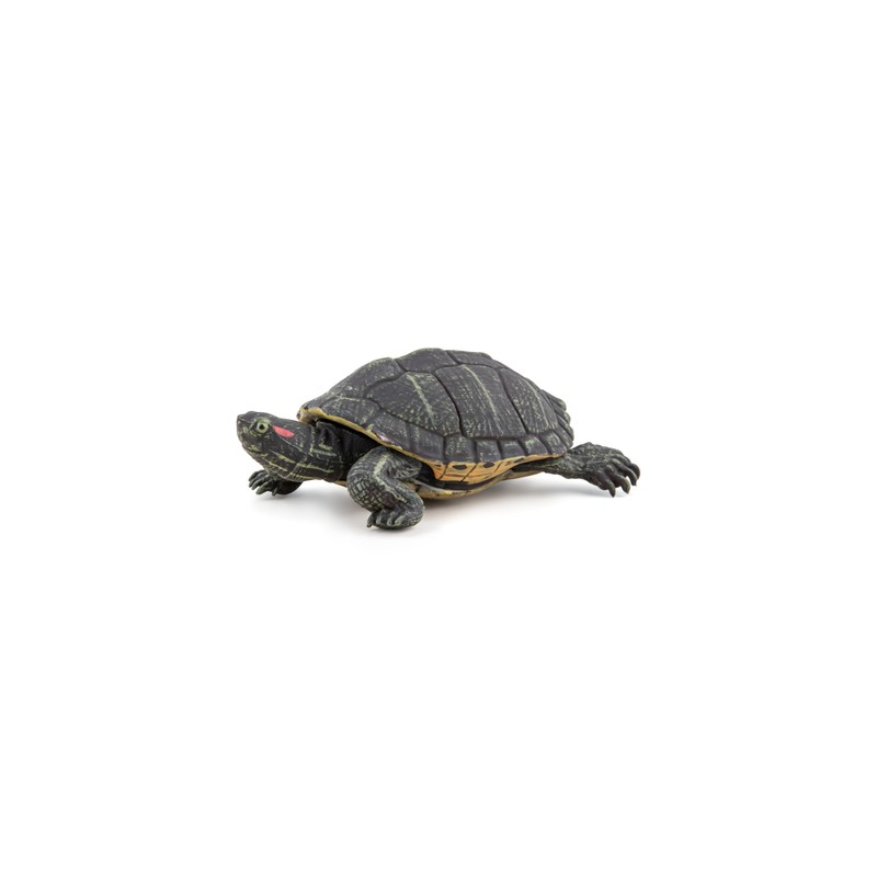 PAPO - Realistic Florida Turtle Figure - Ages 3+ -