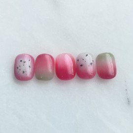 Dragon and Pangpang - Short Oval / 용과팡팡 - 숏오벌